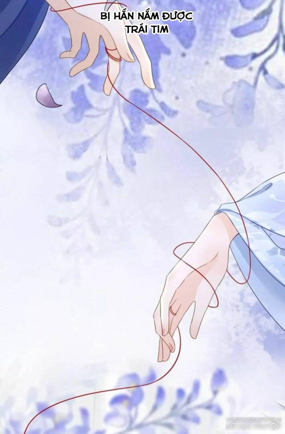 sủng phi của vương chapter 118 21