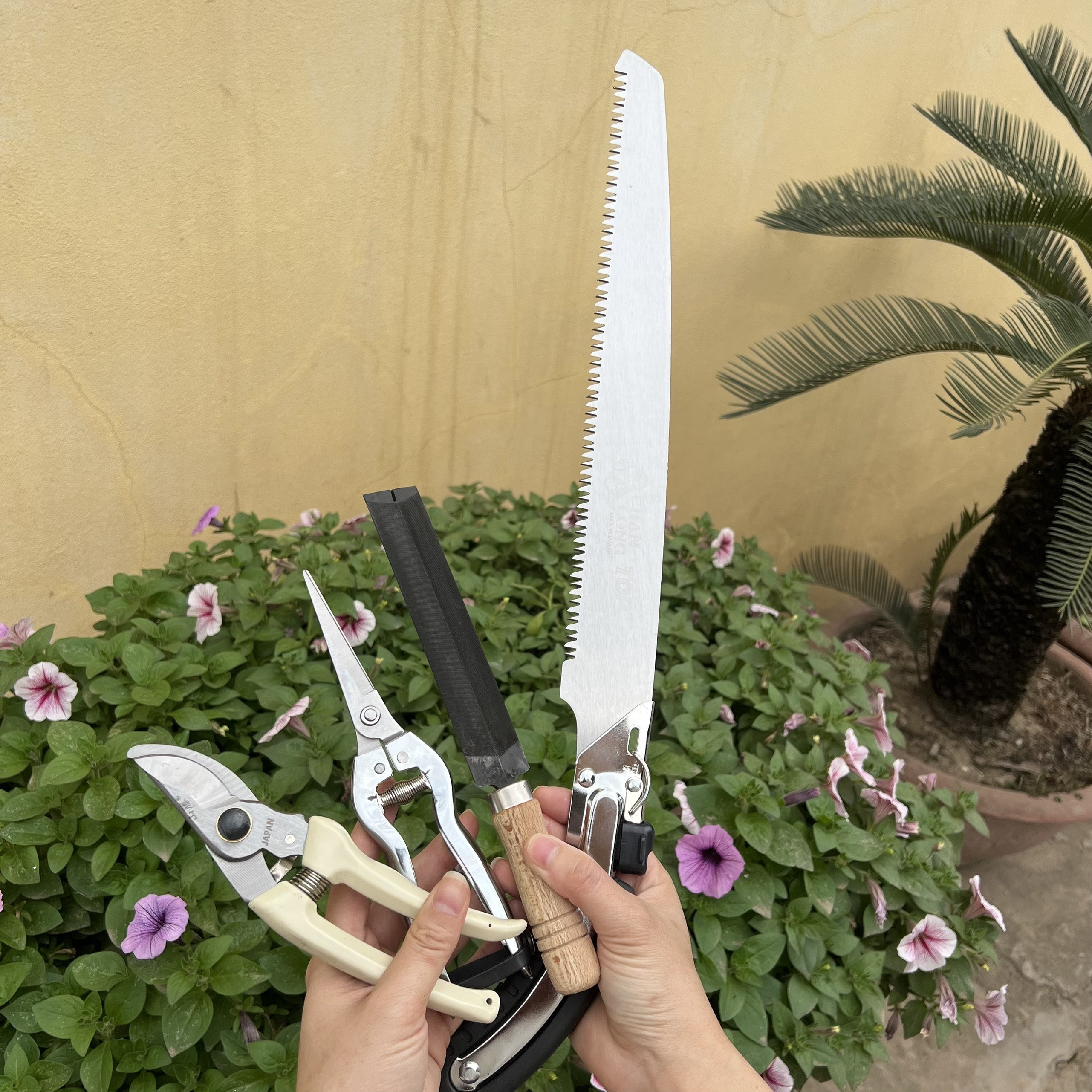 Combo Cắt Tỉa Cây cảnh, Bonsai : Kéo Cắt Cành + Kéo tỉa lá,tỉa dăm + Cưa Gỗ Cầm Tay + Dũa Cưa, kéo