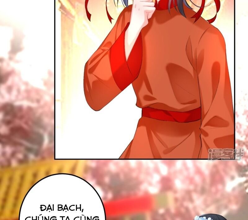 vương gia, áo lót của ngươi rơi mất rồi chapter 63 6