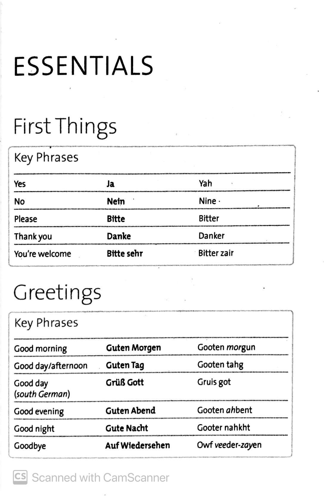 The Penguin German Phrasebook (Phrase Book, Penguin)