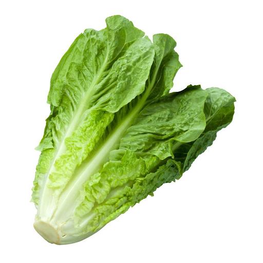 Hạt Giống Rau Xà Lách Romaine Xanh  -