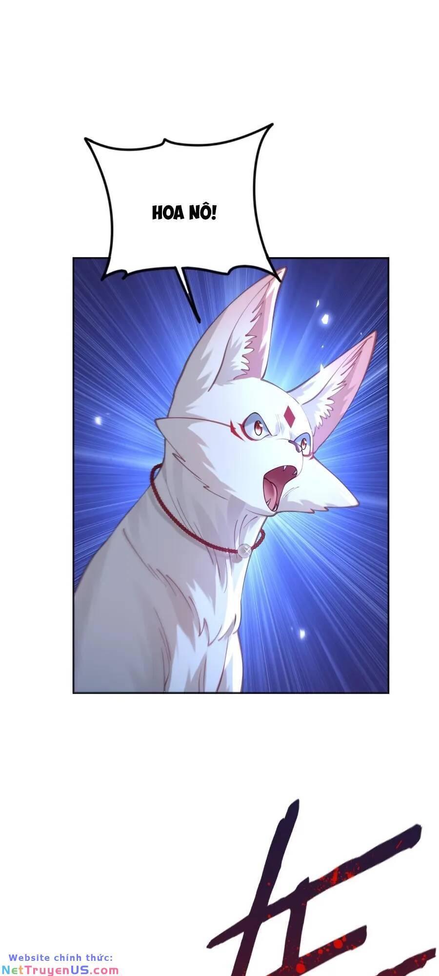 bói toán mà thôi, cửu vĩ yêu đế sao lại thành nương tử ta?! chapter 26 11