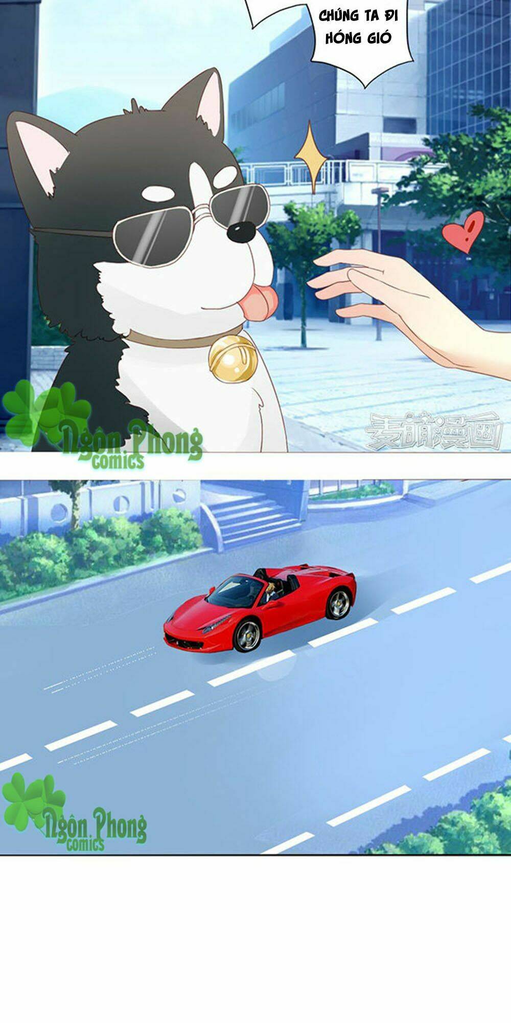 tổng tài bá đạo là gay chapter 6 24