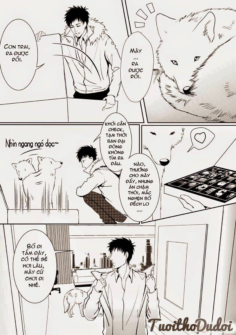 sự mê hoặc của sói chapter 12 6