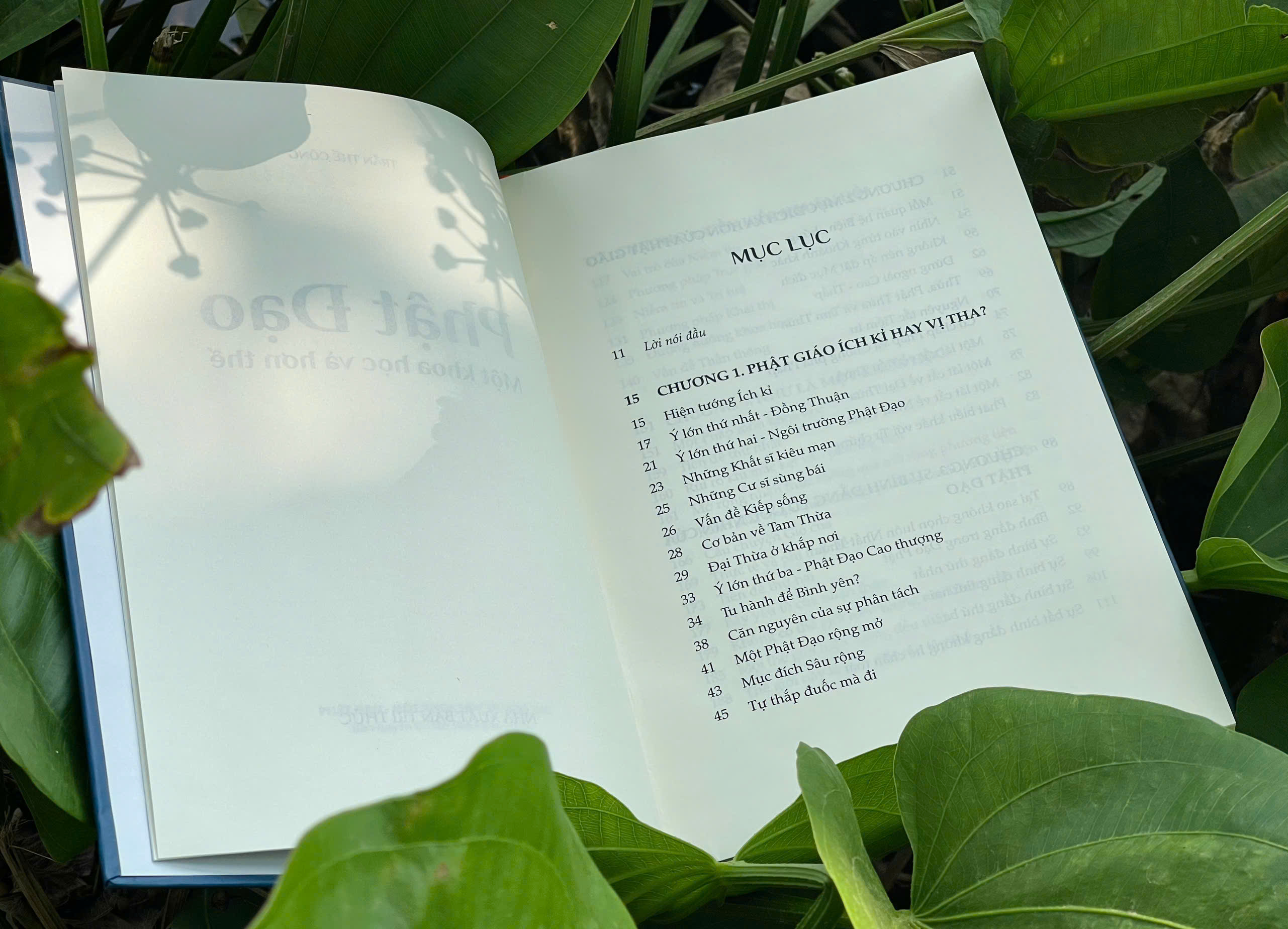 Sách PHẬT ĐẠO MỘT KHOA HỌC VÀ HƠN THẾ - Tác giả Trần Thế Công - bìa cứng