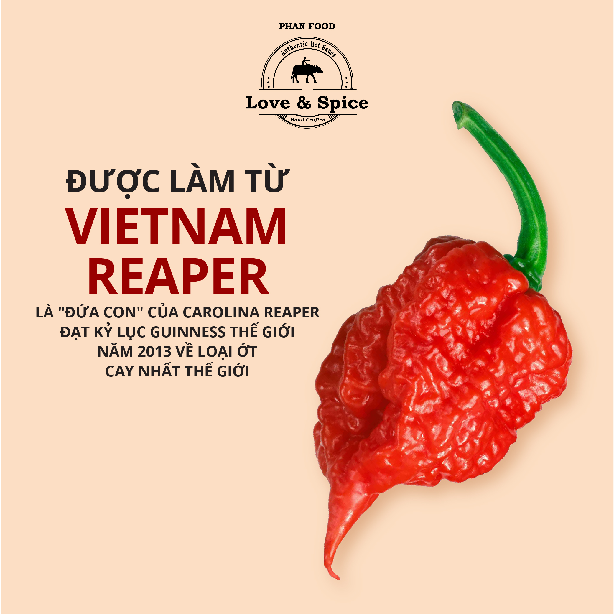 CAY #1 THẤY MẸ - Combo 12 chai tương ớt siêu cay Love &amp; Spice (cấp độ 3) lên men tự nhiên từ ớt Vietnam Reaper chai 120ml x 12