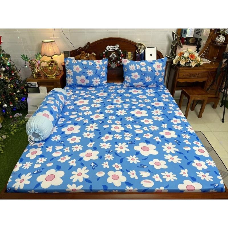 Drap thun hàn quốc