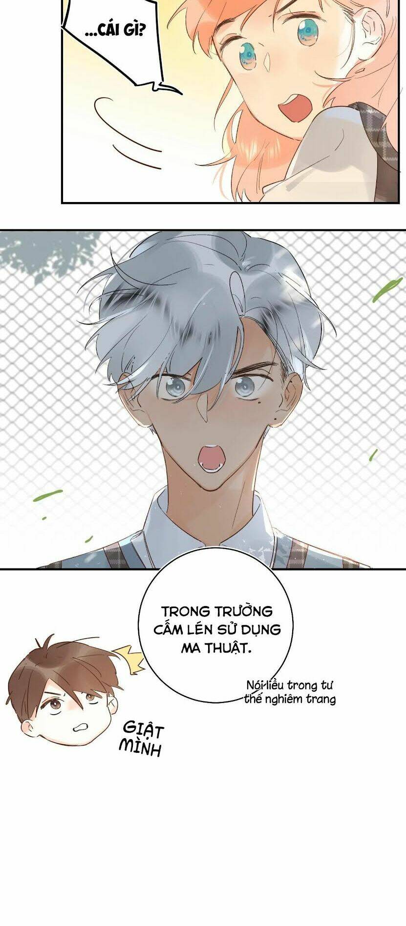 phù thủy hạng bét chapter 35 24