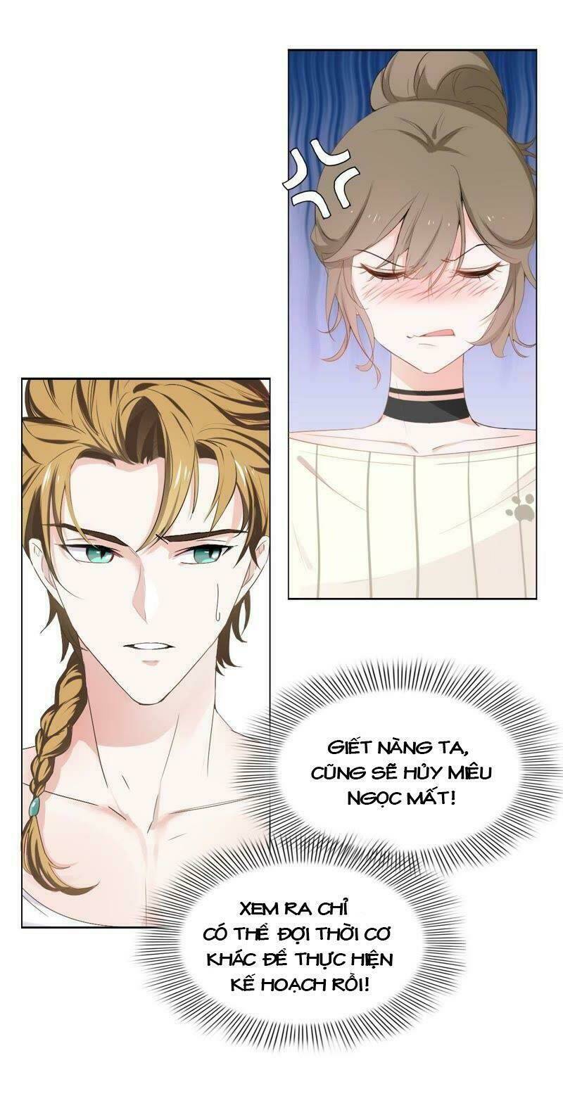 thập nhị hắc miêu chapter 2 4