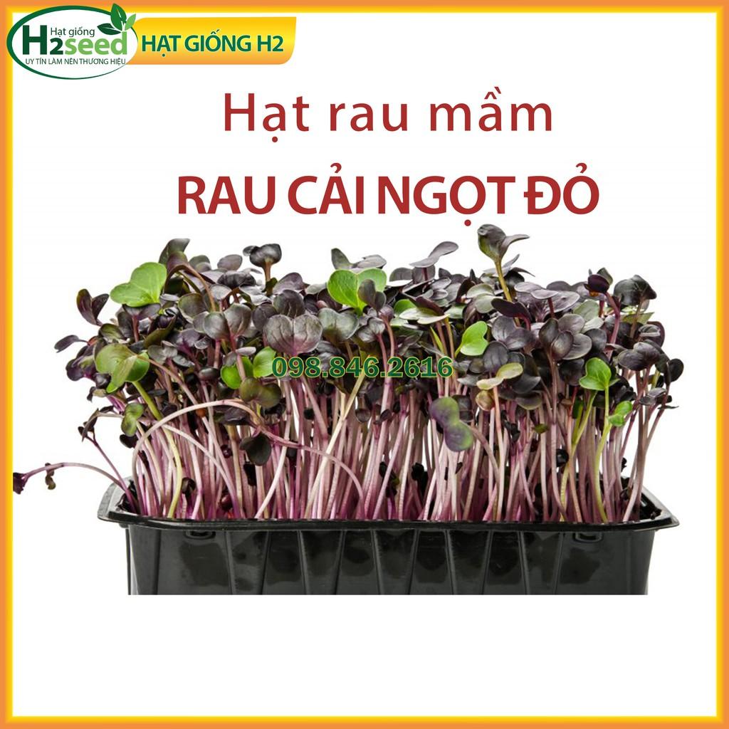 Gói 50g Hạt rau mầm rau cải ngọt đỏ - Hạt rau chất lượng cao, nảy mầm tốt