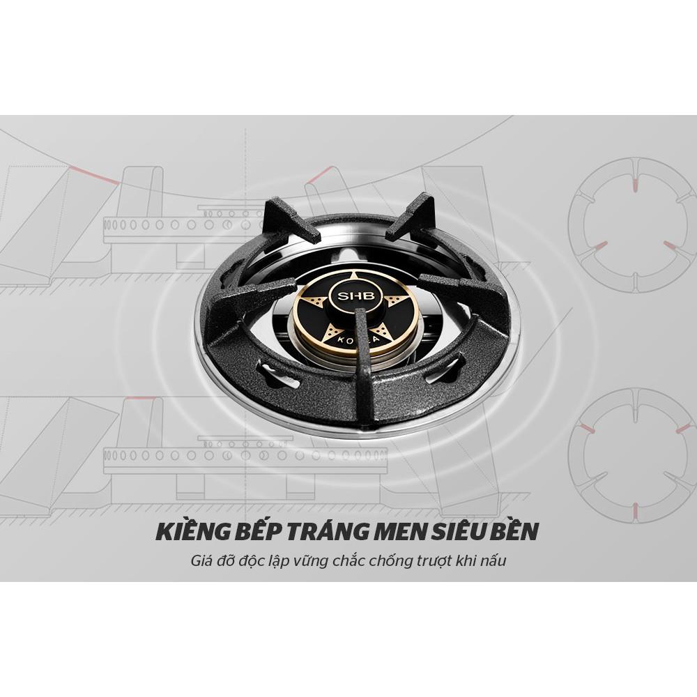 Bếp ga dương kính Apex APB0816 - Hàng chính hãng