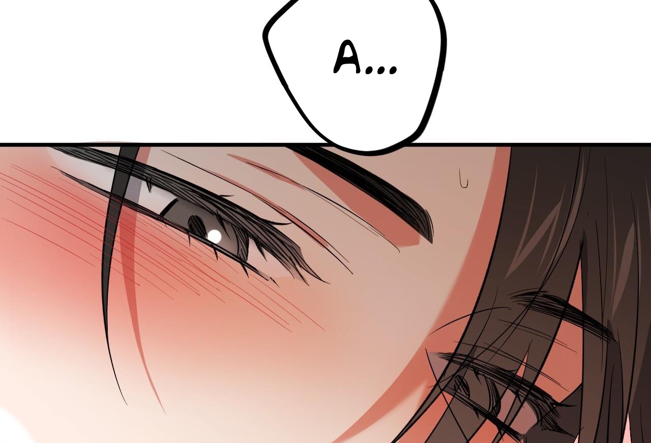 đàn thỏ của habibi chapter 63 199