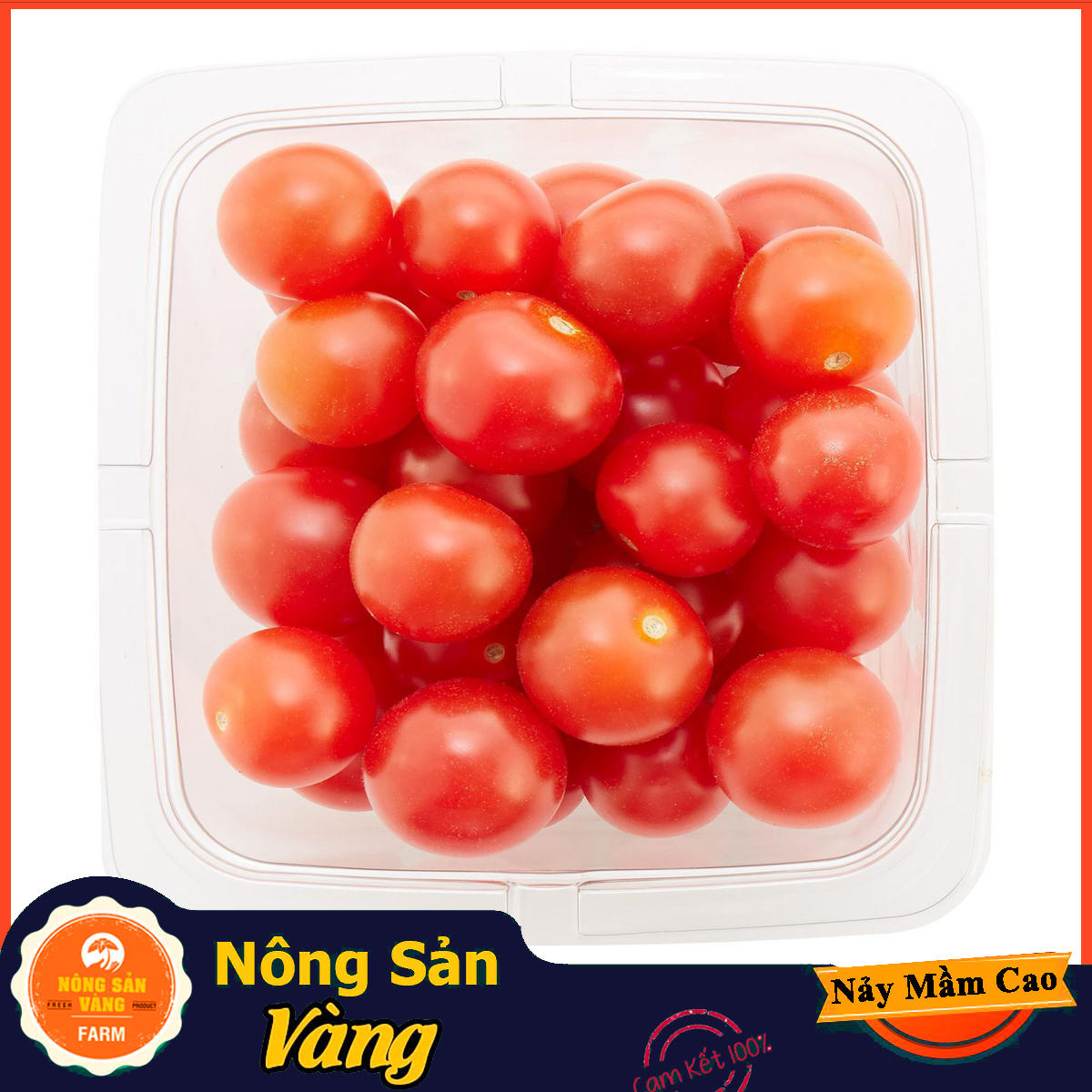 Hình ảnh Hạt giống Cà Chua Cherry Đỏ ( Gói 20 hạt ) - Nông Sản Vàng