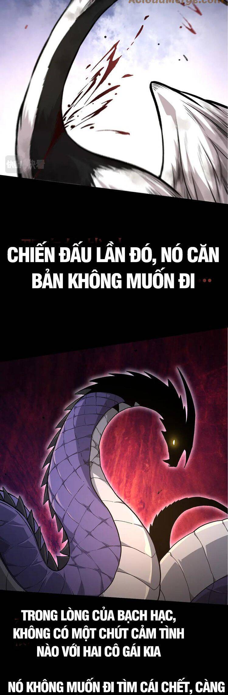 chuyển sinh thành liễu đột biến chapter 54 25