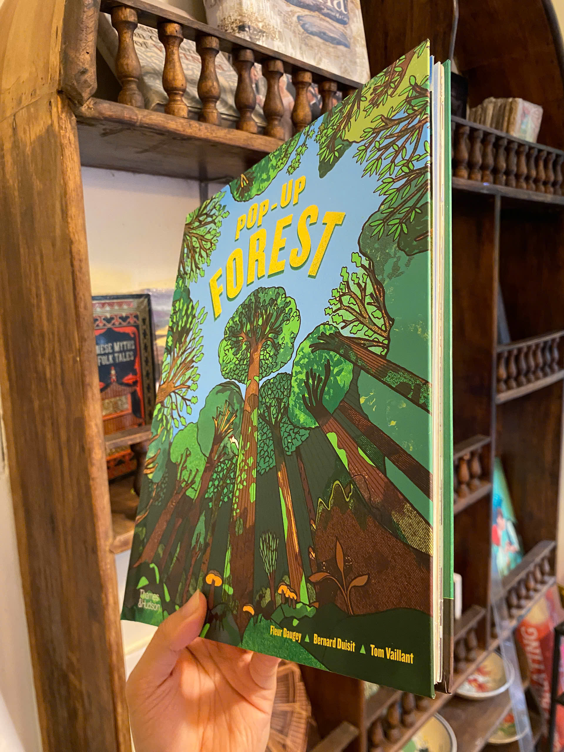 Sách - Pop-Up Forest by Tom Vaillant | Children Book in English / Ngoại văn Thiếu nhi Nhập khẩu