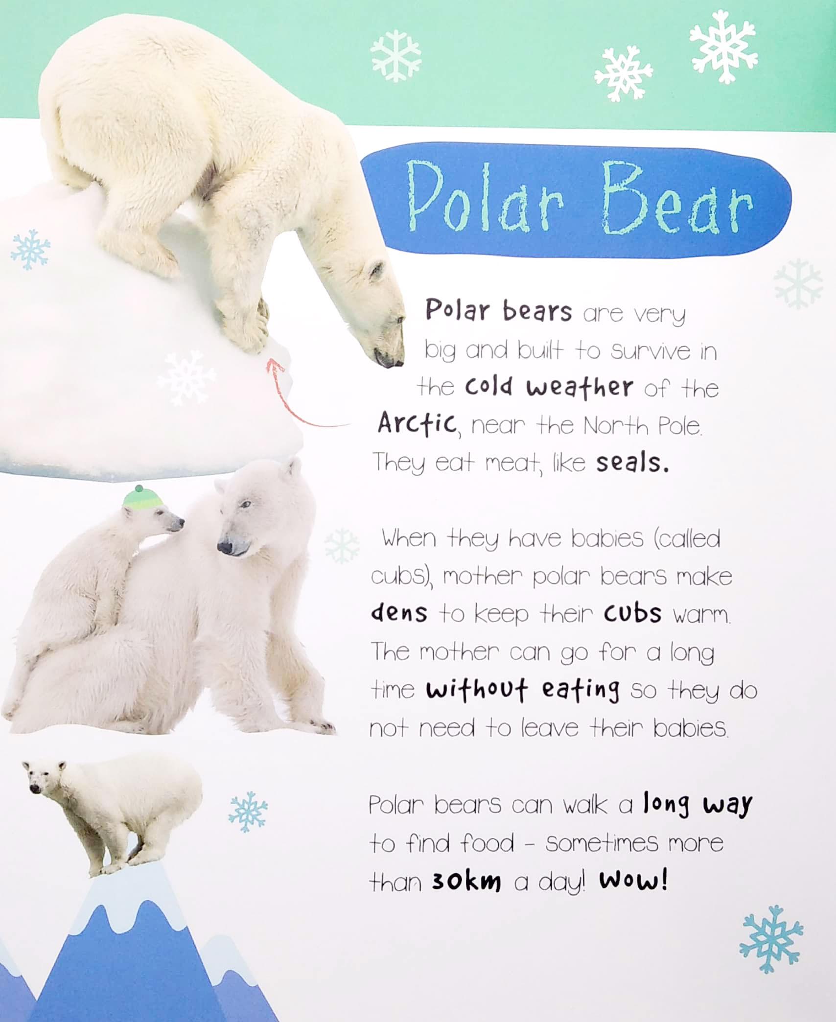 Little Wonders: Polar Animals - 5 Puzzles