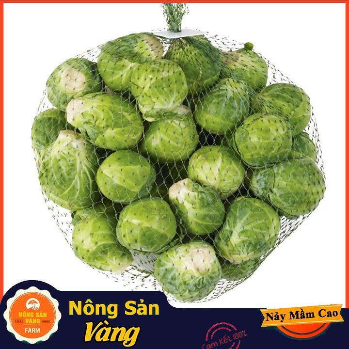 Hạt giống Bắp Cải Tí Hon Xanh