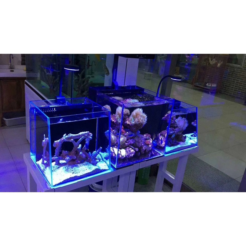 Đèn Gako Q2 bản có timer tắt mở tự động cho hồ cá biển- Đèn Q2 cho bể cá biển-shopleo