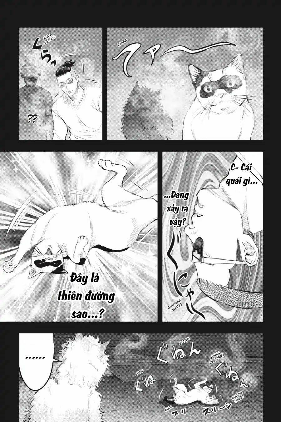 nyankees chapter 11 20