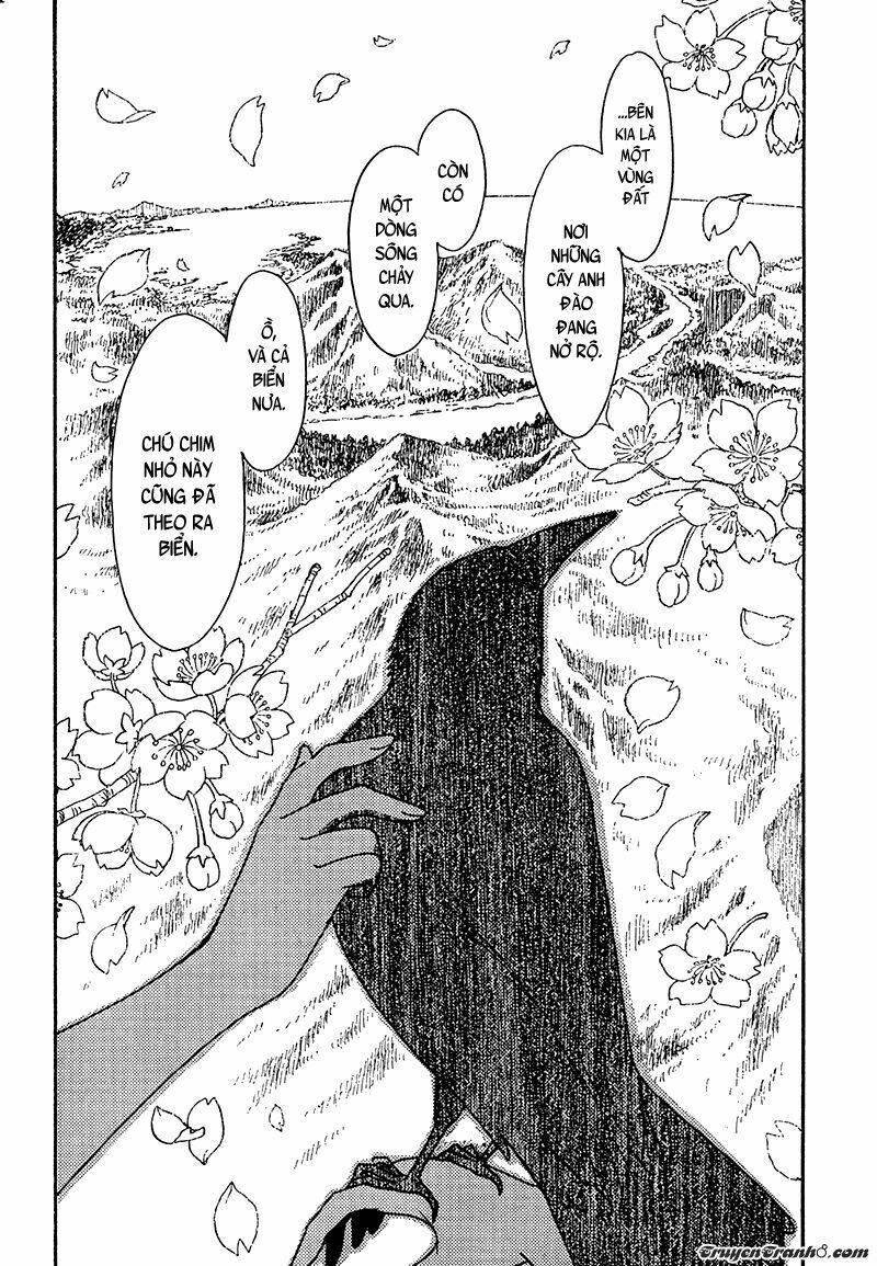 drug and drop chapter 13 19