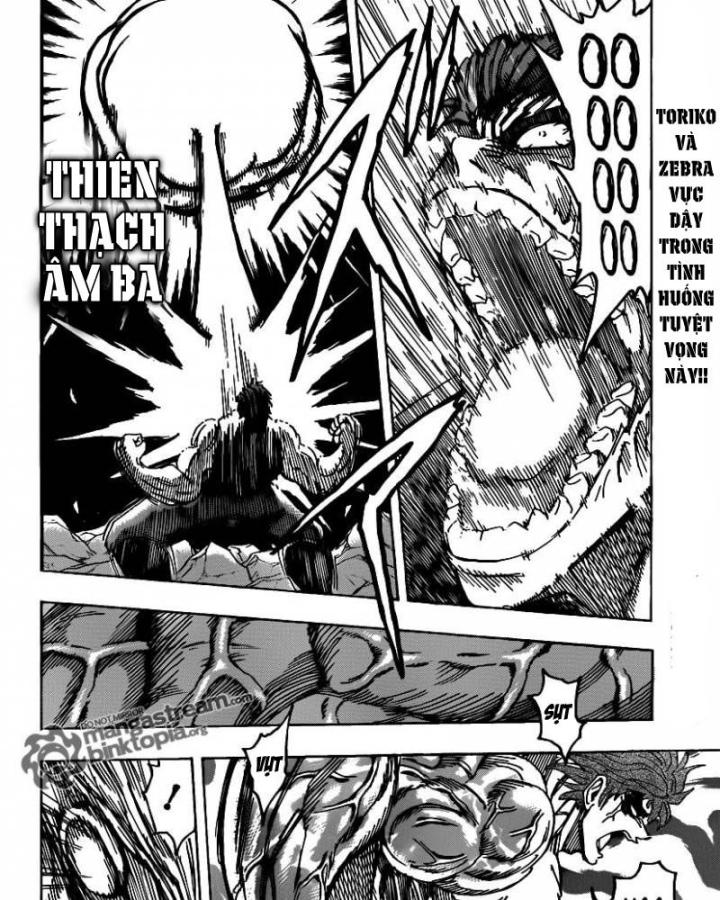 thánh tỏi sành ăn chapter 176 6