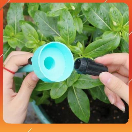 Set 12 que cắm tưới cây nhỏ giọt 206801
