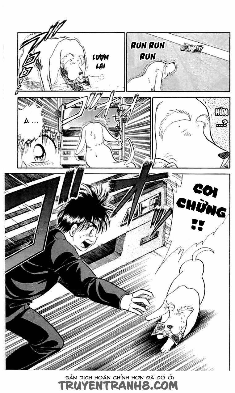 wild half chapter 12 15