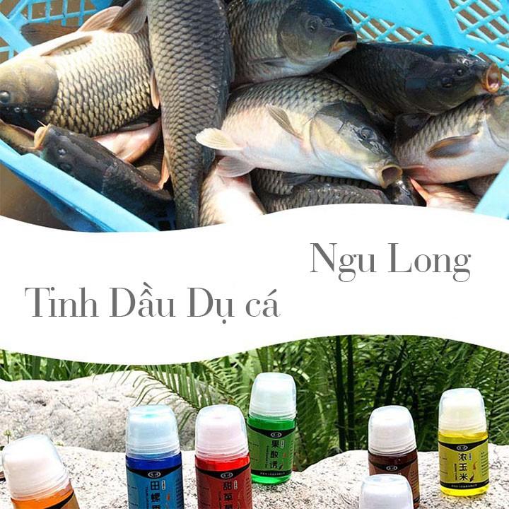 Tinh dầu Dụ cá - mồi dụ cá trôi, trắm, chép, trê, nheo, lăng siêu nhậy