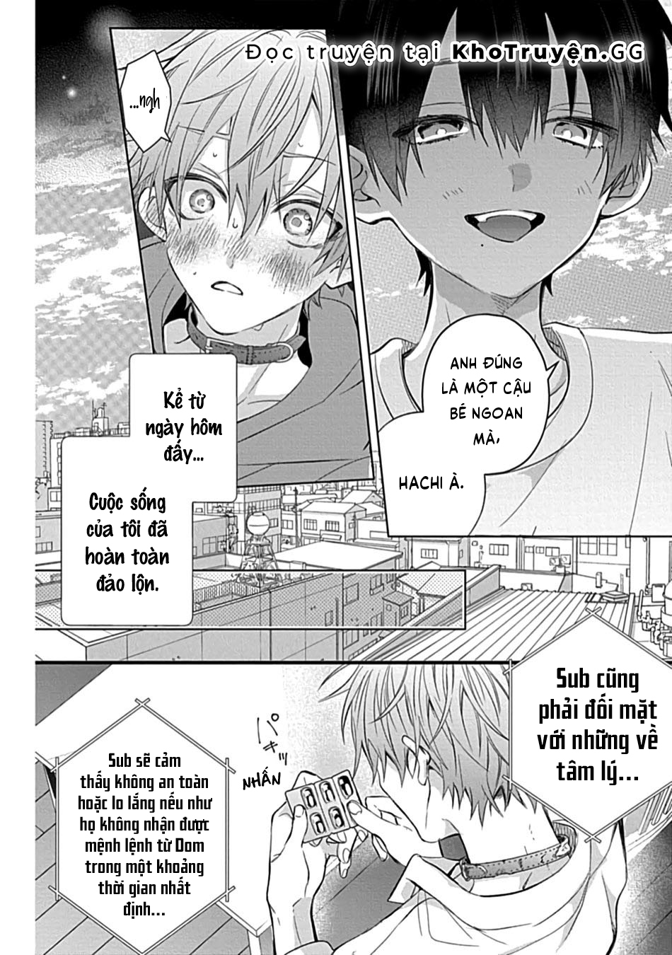 vòng cổ của hachi chapter 1 4