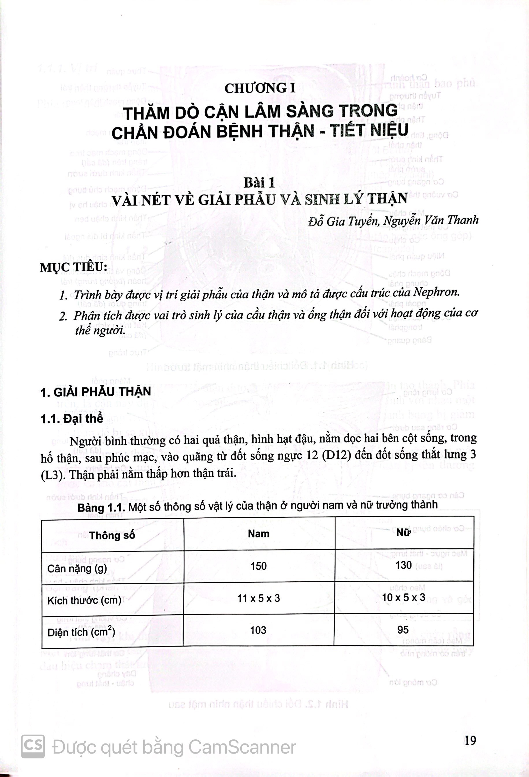 Benito - Sách - Bệnh học nội khoa thận - tiết niệu Tập 1 - NXB Y học