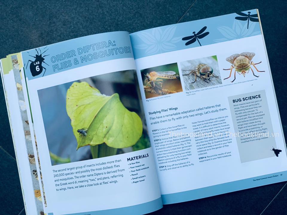Little Learning Labs: Bugs for Kids: 20+ Family-Friendly Activities for Exploring the Amazing World of Beetles, Butterflies, Spiders, and Other Arthropods