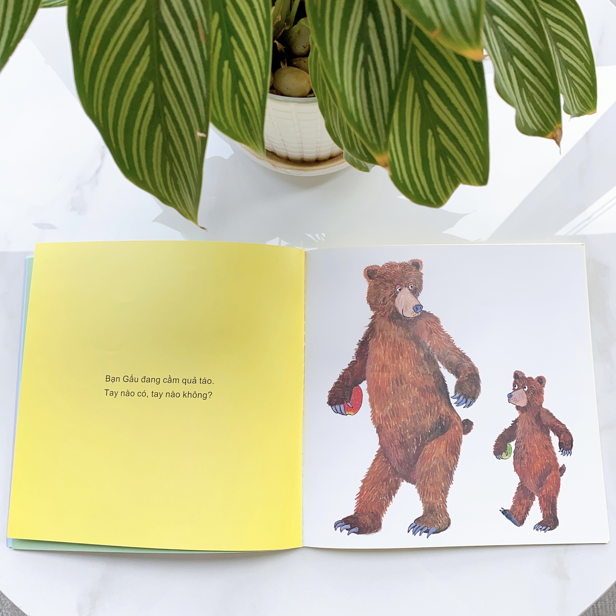 Sách cho bé từ 0-3 tuổi - Nhận biết Màu sắc, Động vật - Tay nào có tay nào không? (Truyện tranh Ehon Nhật Bản)