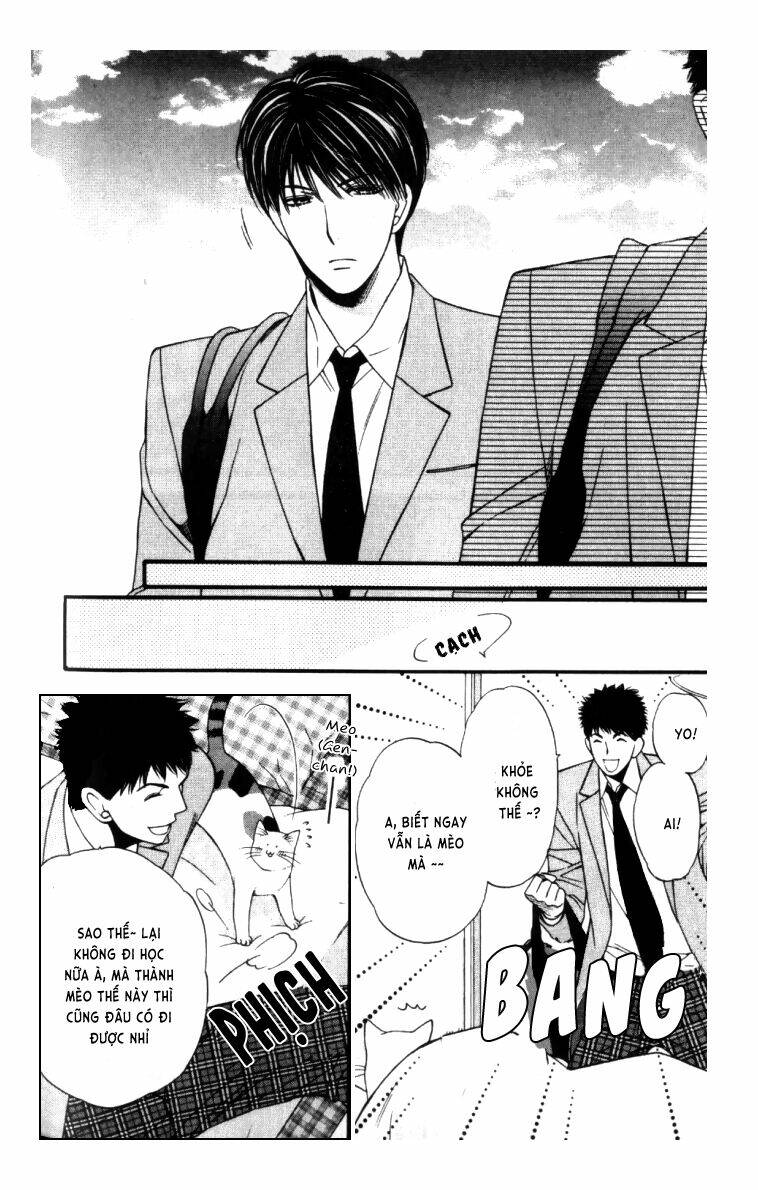 neko neko honey chapter 4 5