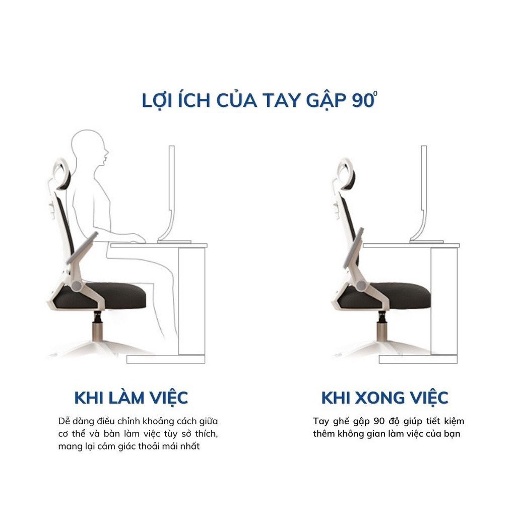 Ghế Xoay Văn Phòng TANNI Premium 01, Ghế Làm Việc Công Thái Học Cao Cấp