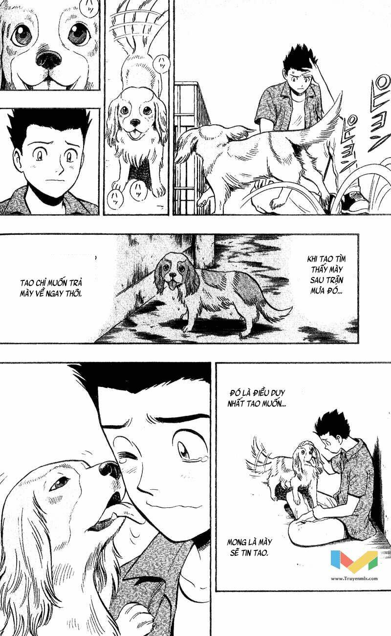 animal sense chapter 4 10