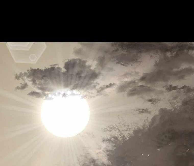 tôi lên cấp chỉ bằng cách ăn chapter 109.5 30