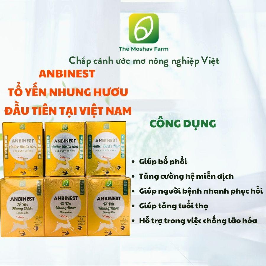 Tổ Yến Nhung Hươu Anbinest Dành Cho Người Già,Người Mới Khỏi Bệnh,Phụ Nữ Sau Sinh,Người Chơi Thể Thao,Trẻ Em block 6 hủ