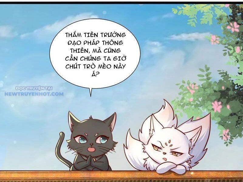 ta thực sự không muốn làm thần tiên chapter 77 4