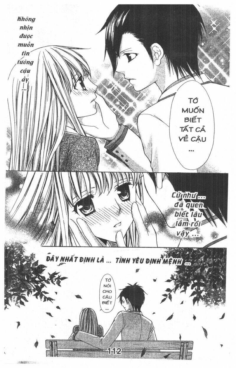 trái tim kim cương chapter 2 113