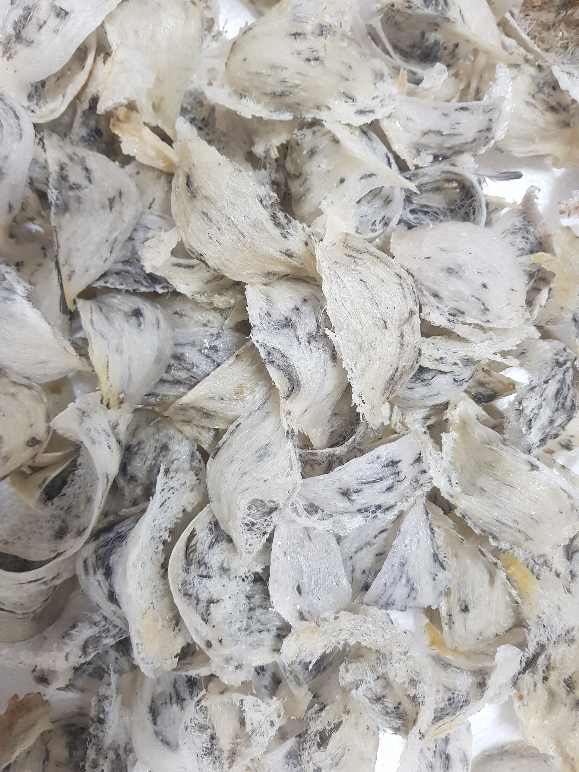 Tổ Yến Thô Nguyên Chất 100% Tự Nhiên [50g_100g] [Yến Sào Nguyên An] [Tăng Cường Sức Khỏe