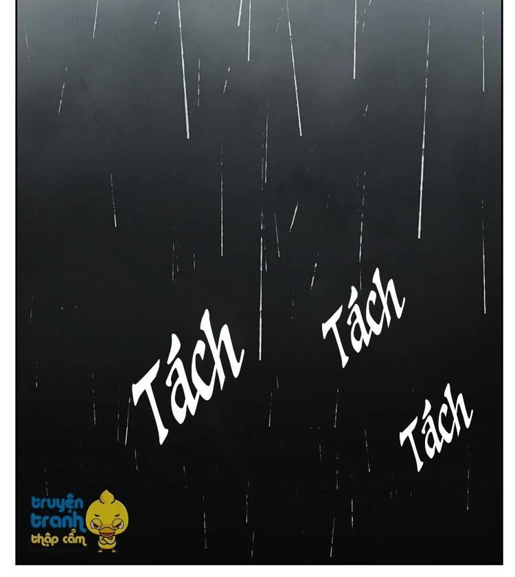 cứu mạng ! loài mèo thống trị thế giới rồi ! chapter 26 6