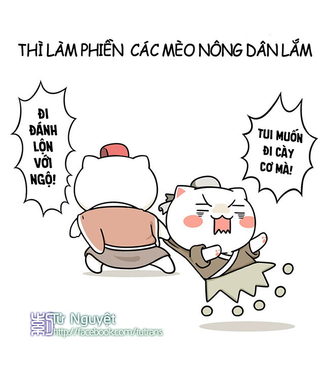 nếu lịch sử là một bầy mèo chapter 5 31