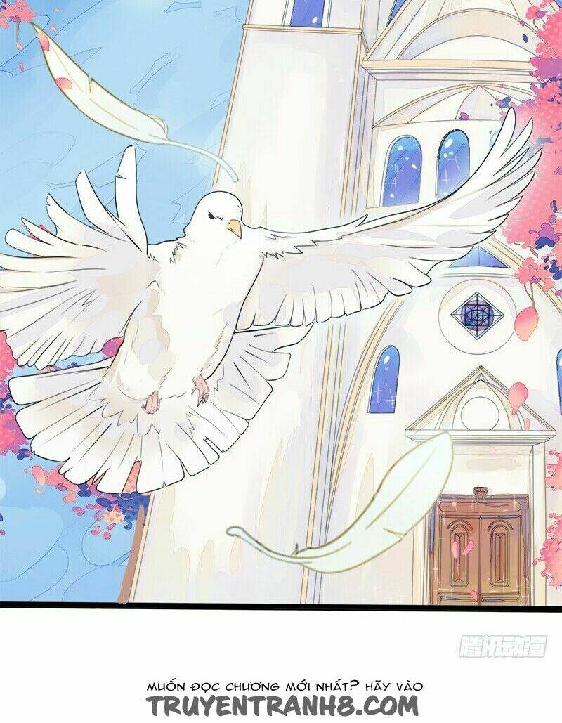 cuộc sống hôn nhân lãng mạn của hề hề chapter 2.3 6