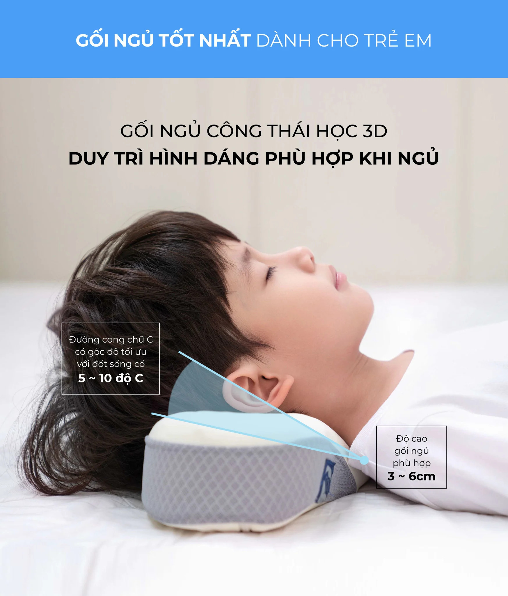 Set gối gia đình - Gối ngủ ngon giảm đau vai gáy cổ - Sleep Therapy - Màu ngẫu nhiên