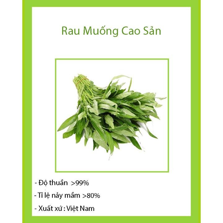 HẠT GIỐNG RAU MUỐNG - KHẢ NĂNG SINH TRƯỞNG VÀ PHÁT TRIỂN MẠNH, TỶ LỆ NẢY MẦM CAO
