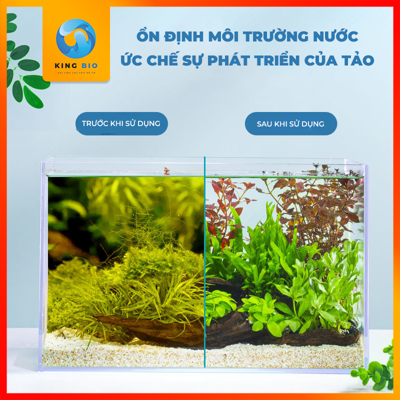 Yee Magical hạt lọc nước hồ cá hiệu quả ngay 24h