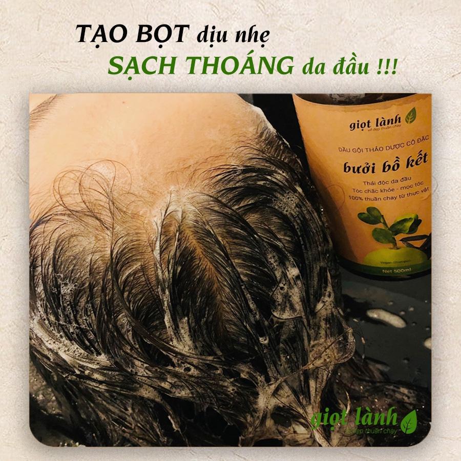 Dầu gội đầu bồ kết cô đặc, bưởi xanh, thảo dược - Kích thích mọc tóc, giảm rụng tóc, giảm gàu ngứa Giọt Lành 500ml