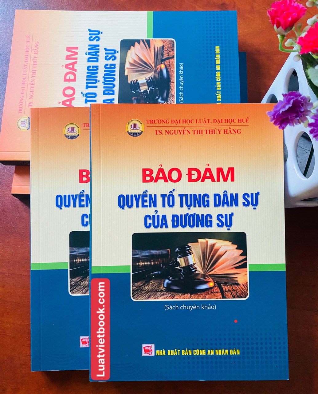 Bảo Đảm Quyền Tố Tụng Dân Sự Của Đương Sự