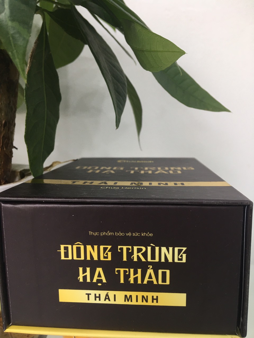 Đông trùng hạ thảo Thái Minh- Bồi bổ cơ thể, tăng cường sức khỏe