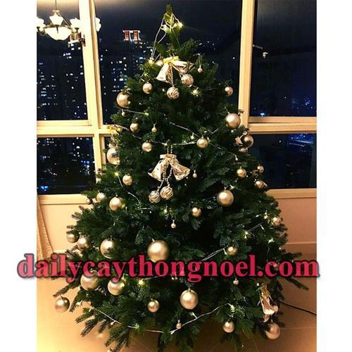 Cây thông noel PE cao cấp Cao 1m8 - Cây tự động bung - Loại cây đẹp sang trọng